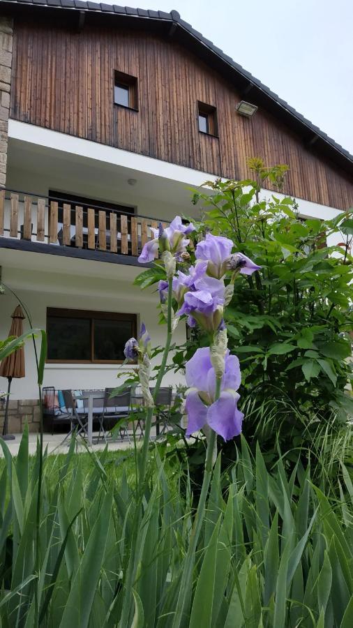 Le Jardin De Moulis, Saint Girons, Ariege, Pyrenees, Bed & Breakfast Ngoại thất bức ảnh