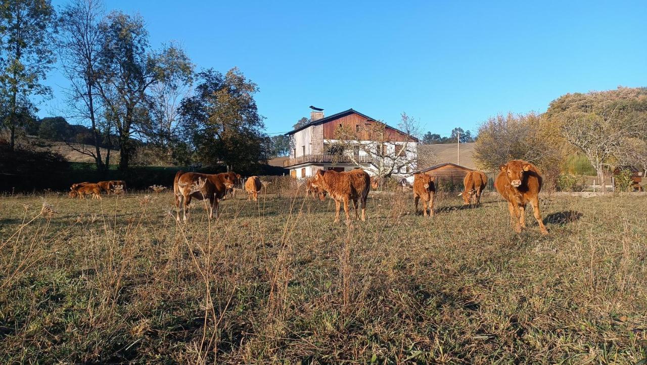 Le Jardin De Moulis, Saint Girons, Ariege, Pyrenees, Bed & Breakfast Ngoại thất bức ảnh