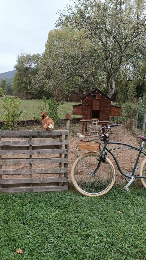 Le Jardin De Moulis, Saint Girons, Ariege, Pyrenees, Bed & Breakfast Ngoại thất bức ảnh